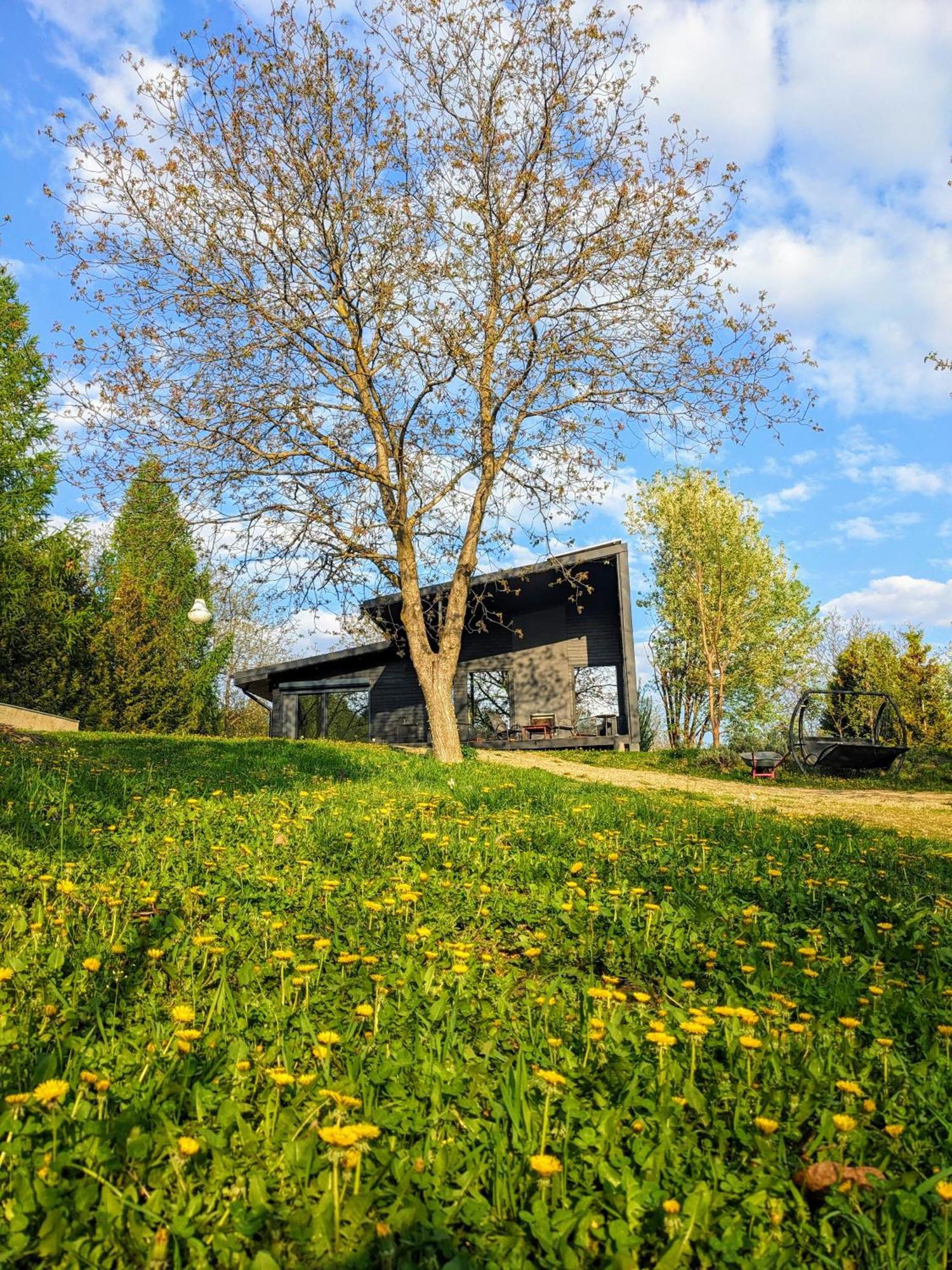 Black Walnut House With Indoor Outdoor Fireplace Izvoarele  Exterior photo