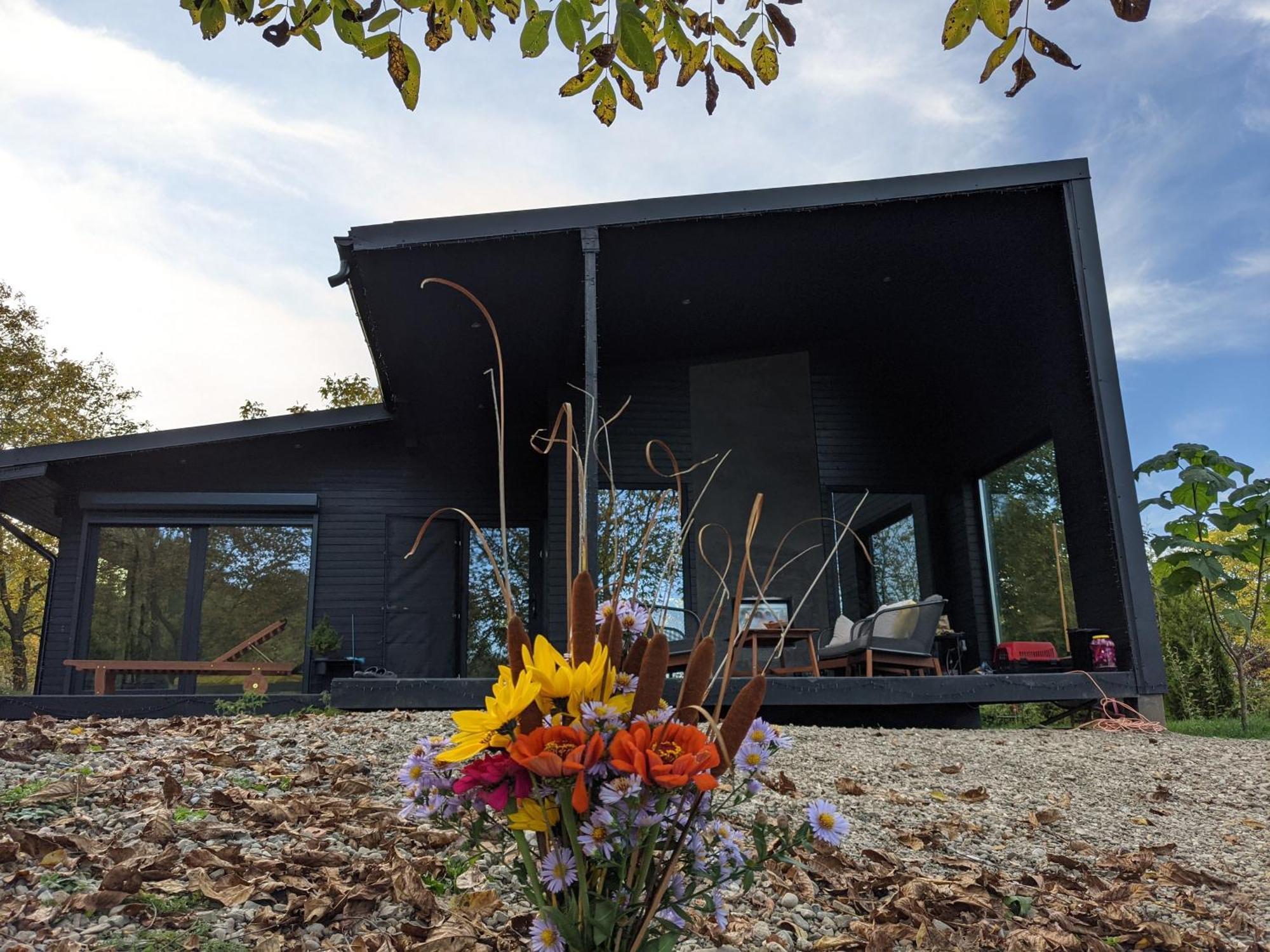 Black Walnut House With Indoor Outdoor Fireplace Izvoarele  Exterior photo